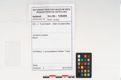Foto von Textil (NHMW-PRAE-125455)